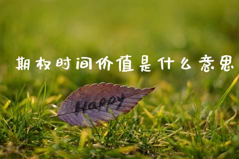 期权时间价值是什么意思_https://www.zcsm.com.cn_期货百科_第1张