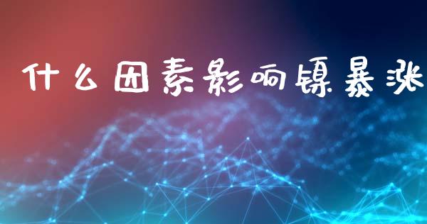 什么因素影响镍暴涨_https://www.zcsm.com.cn_期货喊单_第1张
