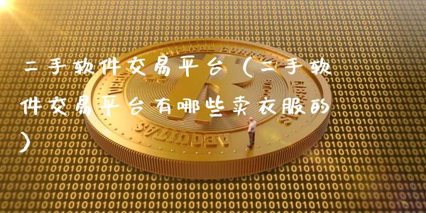 二手软件交易平台（二手软件交易平台有哪些卖衣服的）_https://www.zcsm.com.cn_原油期货_第1张