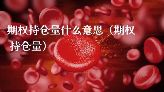 期权持仓量什么意思（期权 持仓量）_https://www.zcsm.com.cn_期货交易_第1张