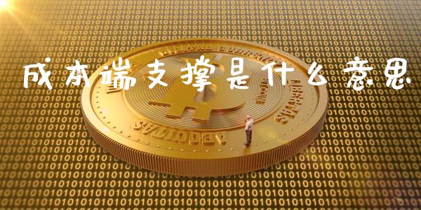 成本端支撑是什么意思_https://www.zcsm.com.cn_期货百科_第1张