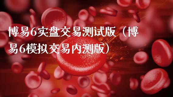 博易6实盘交易测试版（博易6模拟交易内测版）_https://www.zcsm.com.cn_期货交易_第1张