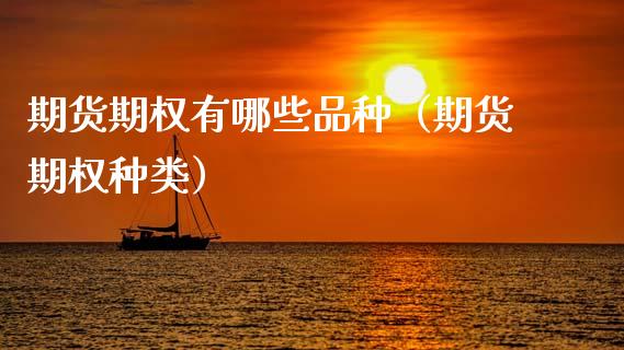 期货期权有哪些品种（期货期权种类）_https://www.zcsm.com.cn_期货喊单_第1张