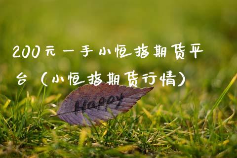 200元一手小恒指期货平台（小恒指期货行情）_https://www.zcsm.com.cn_期货百科_第1张