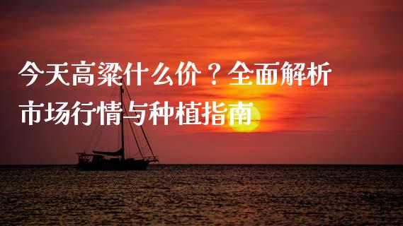 今天高粱什么价？全面解析市场行情与种植指南_https://www.zcsm.com.cn_期货百科_第1张
