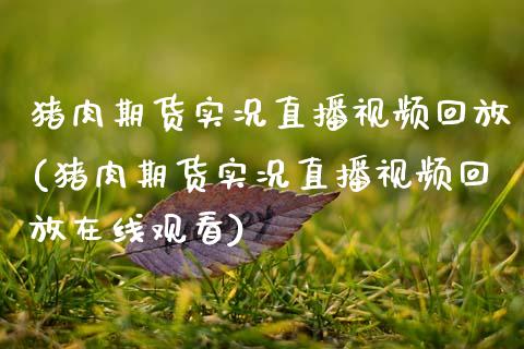 猪肉期货实况直播视频回放(猪肉期货实况直播视频回放在线观看)_https://www.zcsm.com.cn_期货喊单_第1张