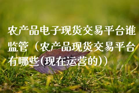 农产品电子现货交易平台谁监管（农产品现货交易平台有哪些(现在运营的)）_https://www.zcsm.com.cn_期货行情_第1张