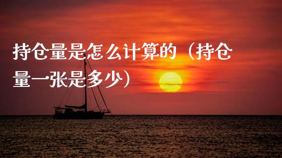 持仓量是怎么计算的（持仓量一张是多少）_https://www.zcsm.com.cn_期货交易_第1张