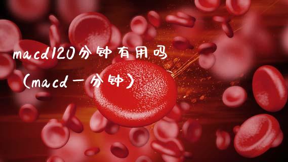 macd120分钟有用吗（macd一分钟）_https://www.zcsm.com.cn_期货培训_第1张